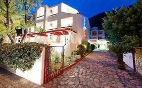Vila Palma